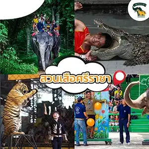 ที่พัก พัทยา วิวทะเล