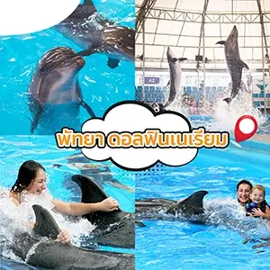 ที่พักพัทยา สวยๆ
